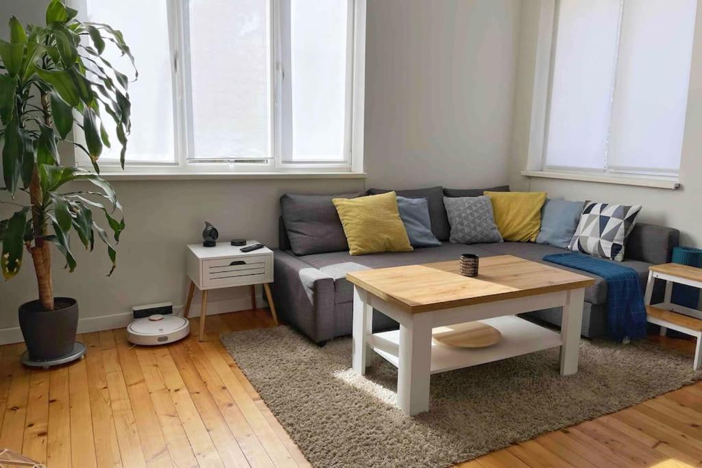 Cozy & Boho Center Apartemen